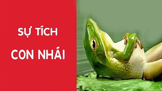 Sự tích con nhái - Truyện cổ tích Việt Nam chọn lọc hay nhất