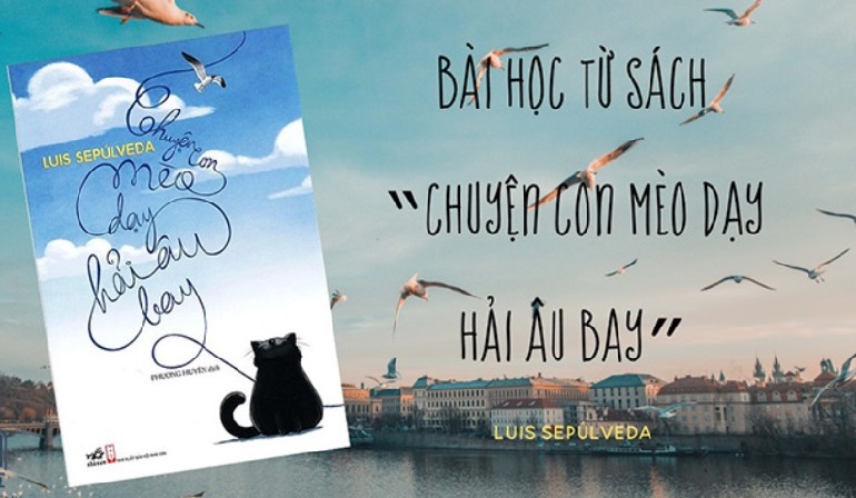 Chuyện con Mèo dạy Hải Âu bay | Truyện hay cho bé